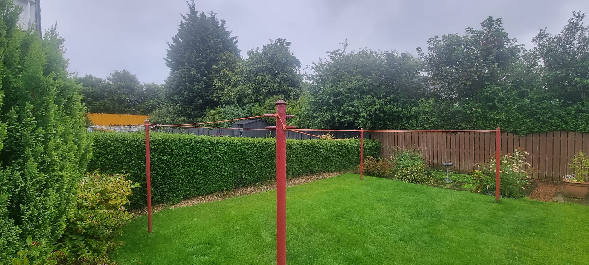 Hedge Maintenance Services